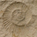 geopark_region
