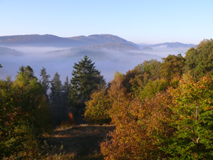 gef_wanderungen_bild