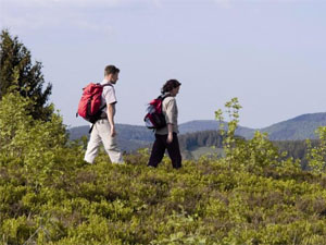 naturweg_bild