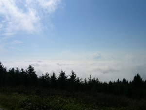 wetter_bild